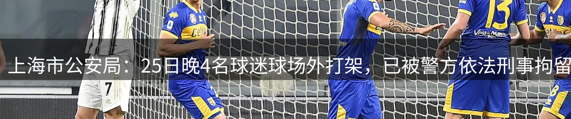 网站资讯