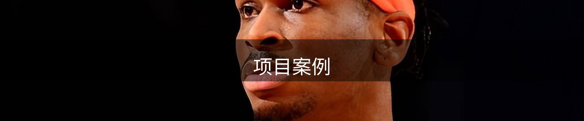 项目案例